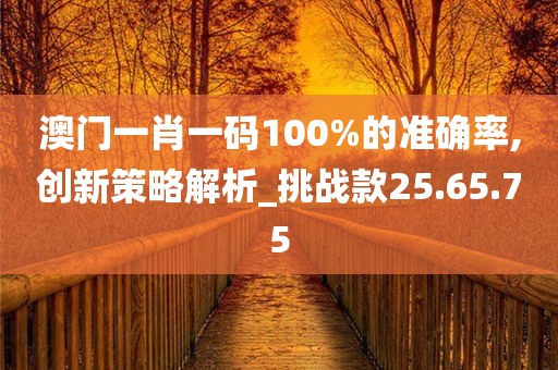 澳门一肖一码100%的准确率,创新策略解析_挑战款25.65.75