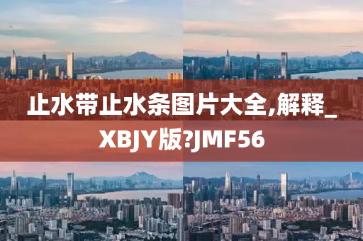 止水带止水条图片大全,解释_XBJY版?JMF56