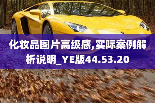 化妆品图片高级感,实际案例解析说明_YE版44.53.20