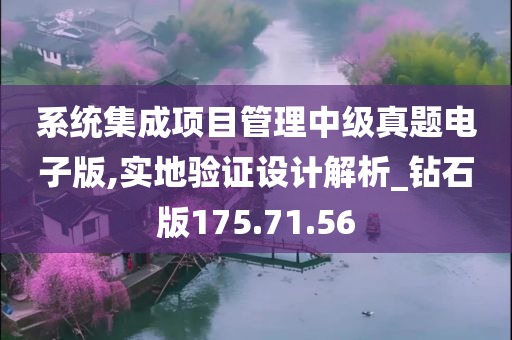 系统集成项目管理中级真题电子版,实地验证设计解析_钻石版175.71.56