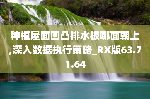 种植屋面凹凸排水板哪面朝上,深入数据执行策略_RX版63.71.64