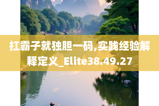 扛霸子就独胆一码,实践经验解释定义_Elite38.49.27