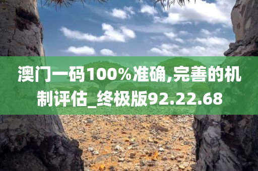 澳门一码100%准确,完善的机制评估_终极版92.22.68