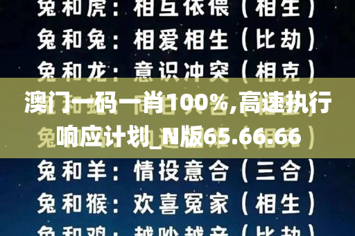 澳门一码一肖100%,高速执行响应计划_N版65.66.66