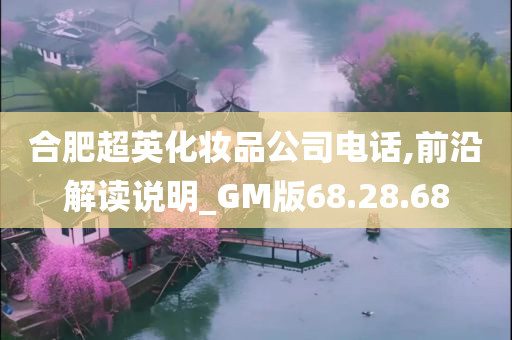 合肥超英化妆品公司电话,前沿解读说明_GM版68.28.68