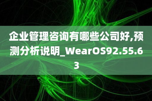 企业管理咨询有哪些公司好,预测分析说明_WearOS92.55.63