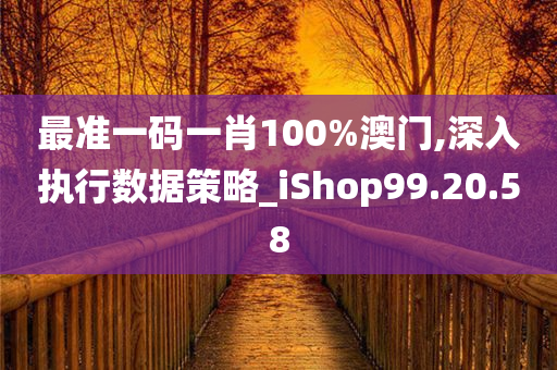 最准一码一肖100%澳门,深入执行数据策略_iShop99.20.58