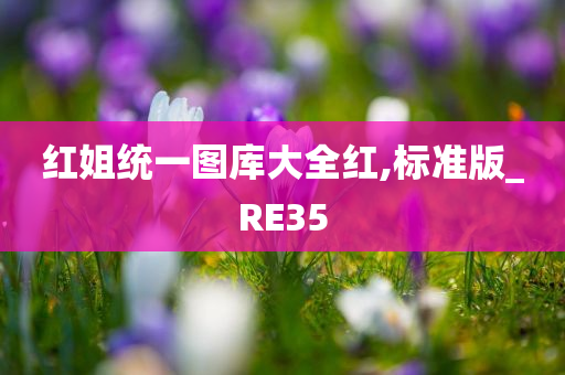 红姐统一图库大全红,标准版_RE35