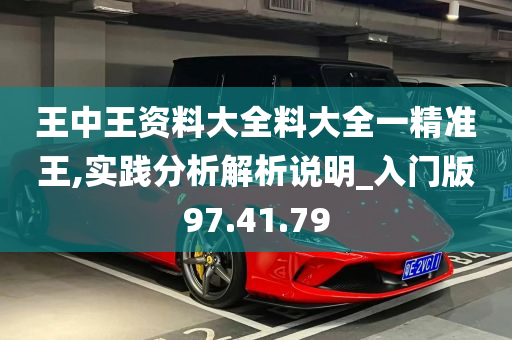 王中王资料大全料大全一精准王,实践分析解析说明_入门版97.41.79