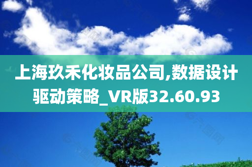 上海玖禾化妆品公司,数据设计驱动策略_VR版32.60.93