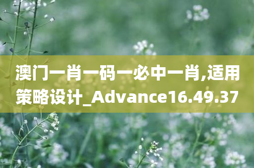 澳门一肖一码一必中一肖,适用策略设计_Advance16.49.37