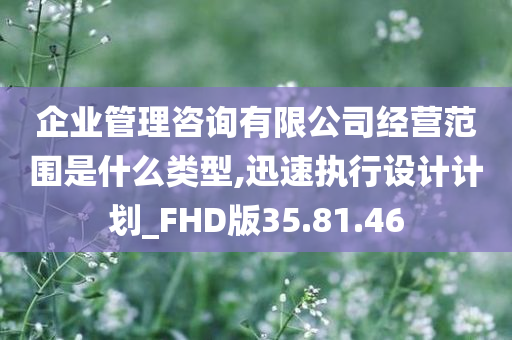 企业管理咨询有限公司经营范围是什么类型,迅速执行设计计划_FHD版35.81.46