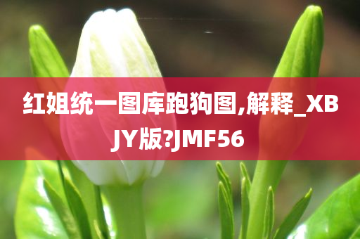 红姐统一图库跑狗图,解释_XBJY版?JMF56