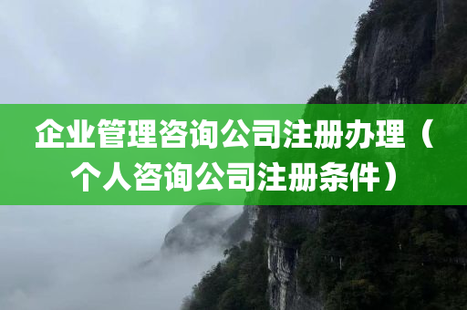 企业管理咨询公司注册办理（个人咨询公司注册条件）