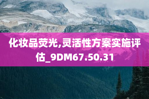 化妆品荧光,灵活性方案实施评估_9DM67.50.31