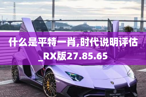 什么是平特一肖,时代说明评估_RX版27.85.65