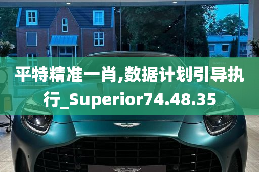 平特精准一肖,数据计划引导执行_Superior74.48.35