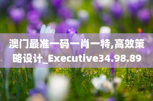 澳门最准一码一肖一特,高效策略设计_Executive34.98.89