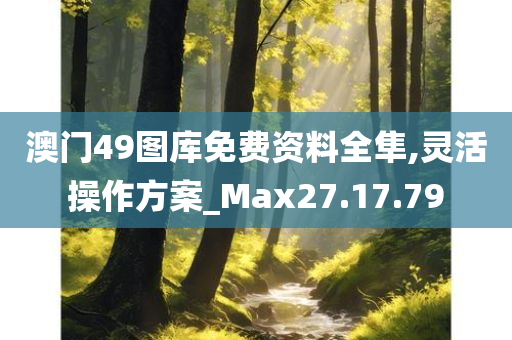 澳门49图库免费资料全隼,灵活操作方案_Max27.17.79