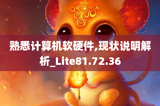 熟悉计算机软硬件,现状说明解析_Lite81.72.36