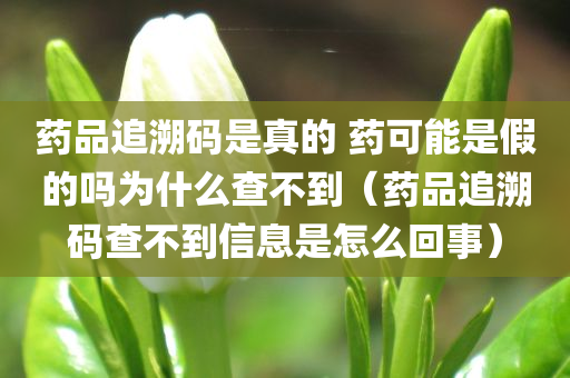 药品追溯码是真的 药可能是假的吗为什么查不到（药品追溯码查不到信息是怎么回事）