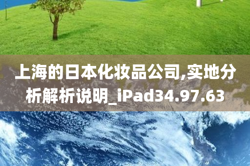 上海的日本化妆品公司,实地分析解析说明_iPad34.97.63