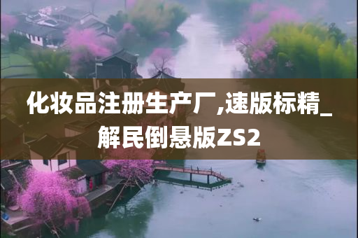 化妆品注册生产厂,速版标精_解民倒悬版ZS2