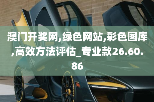 澳门开奖网,绿色网站,彩色图库,高效方法评估_专业款26.60.86