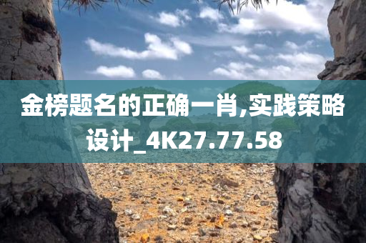 金榜题名的正确一肖,实践策略设计_4K27.77.58