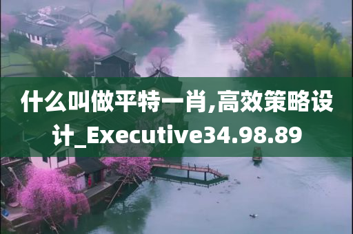 什么叫做平特一肖,高效策略设计_Executive34.98.89