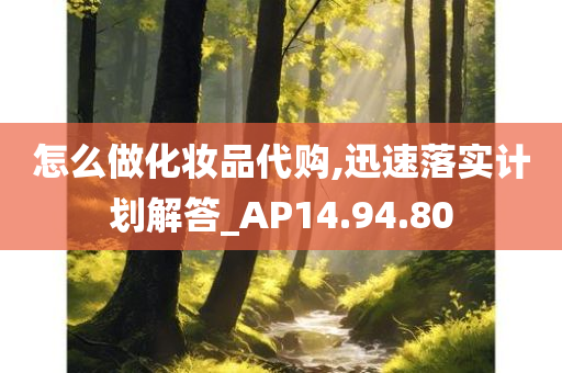 怎么做化妆品代购,迅速落实计划解答_AP14.94.80