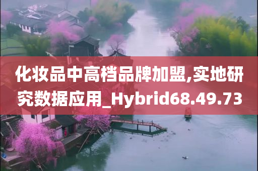 化妆品中高档品牌加盟,实地研究数据应用_Hybrid68.49.73