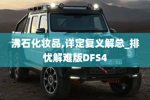 沸石化妆品,详定复义解总_排忧解难版DFS4