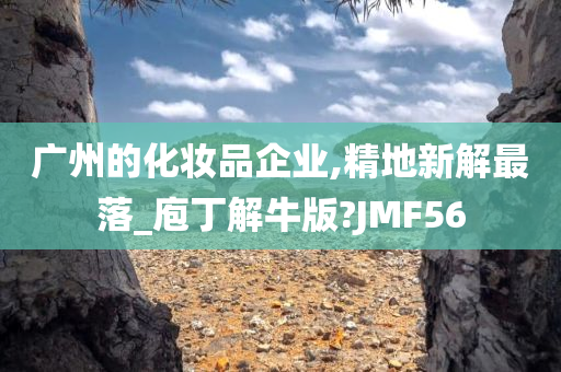 广州的化妆品企业,精地新解最落_庖丁解牛版?JMF56