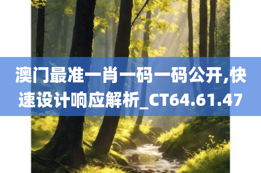 澳门最准一肖一码一码公开,快速设计响应解析_CT64.61.47