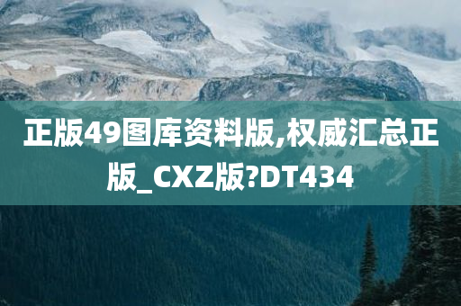 正版49图库资料版,权威汇总正版_CXZ版?DT434