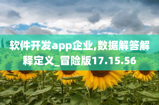 软件开发app企业,数据解答解释定义_冒险版17.15.56