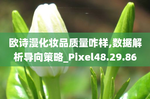 欧诗漫化妆品质量咋样,数据解析导向策略_Pixel48.29.86