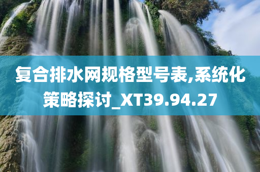 复合排水网规格型号表,系统化策略探讨_XT39.94.27