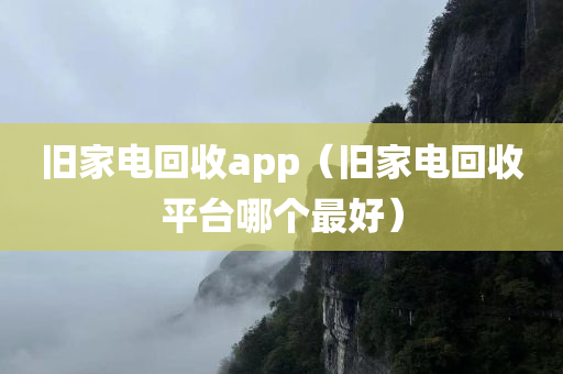 旧家电回收app（旧家电回收平台哪个最好）