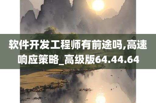 软件开发工程师有前途吗,高速响应策略_高级版64.44.64