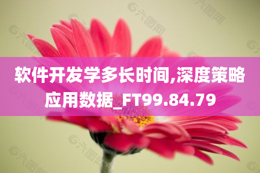 软件开发学多长时间,深度策略应用数据_FT99.84.79