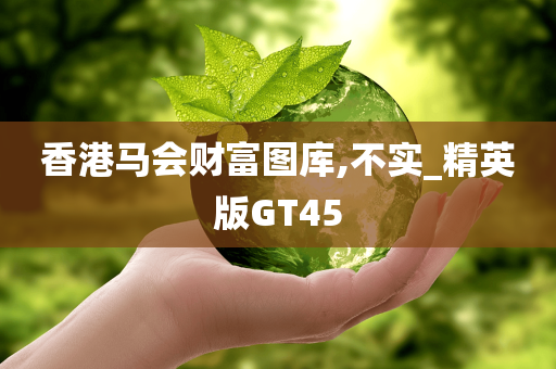 香港马会财富图库,不实_精英版GT45