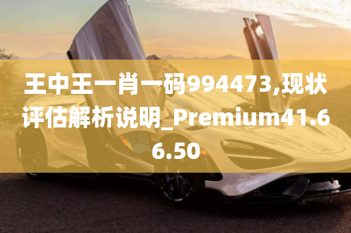 王中王一肖一码994473,现状评估解析说明_Premium41.66.50