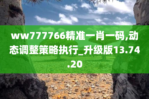 ww777766精准一肖一码,动态调整策略执行_升级版13.74.20