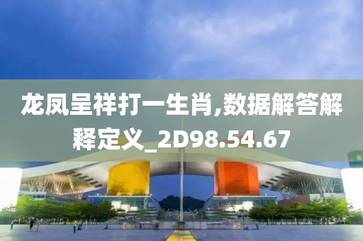 龙凤呈祥打一生肖,数据解答解释定义_2D98.54.67