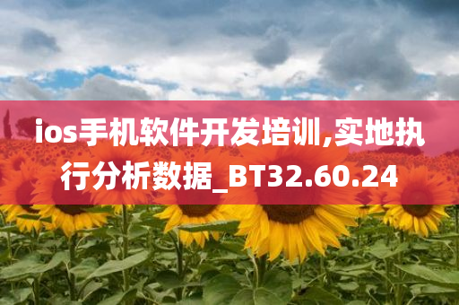 ios手机软件开发培训,实地执行分析数据_BT32.60.24