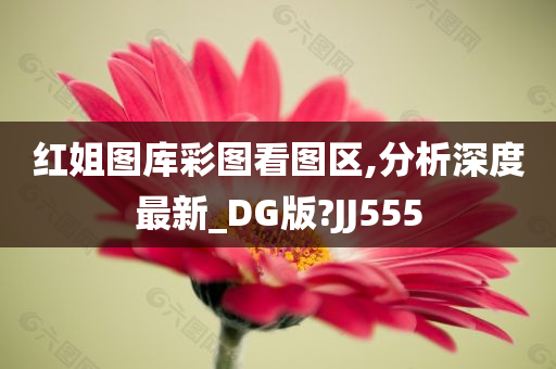 红姐图库彩图看图区,分析深度最新_DG版?JJ555