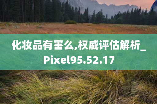 化妆品有害么,权威评估解析_Pixel95.52.17