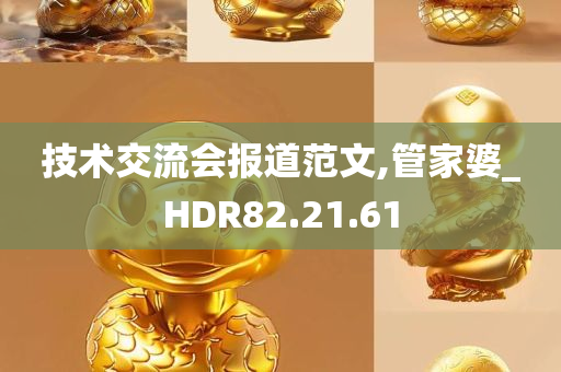 技术交流会报道范文,管家婆_HDR82.21.61